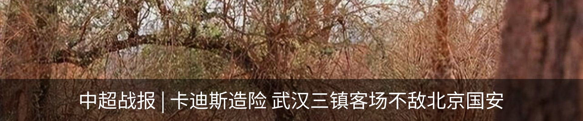 资讯中心